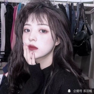 “交通安全统筹”等服务不属于车险（2026·05·12）